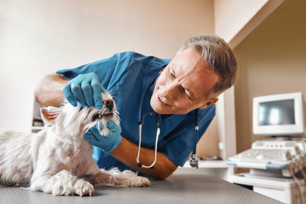 Best Emergency Dental Surgery in Crestview, FL